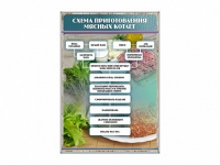 Стенд "Схема приготовления мясных котлет" - «globural.ru» - Апрелевка