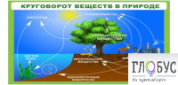 Стенд "Круговорот веществ" - «globural.ru» - Апрелевка