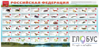 Стенд "Красная книга РФ" - «globural.ru» - Апрелевка