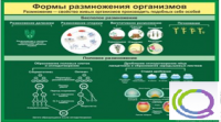 Стенд "Формы размножения организмов" - «globural.ru» - Апрелевка