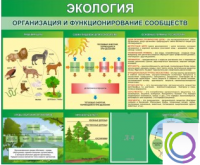 Стенд "Экология. Организация и функционирование сообществ" - «globural.ru» - Апрелевка