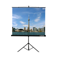 Проекционный экран на штативе Lumien Eco View (LEV-100105) 160x160 см - «globural.ru» - Апрелевка