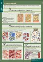 Биология 8-9 класс. Человек. (комплект таблиц) - «globural.ru» - Апрелевка