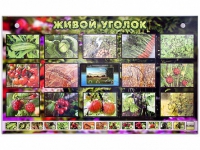 Комплект оборудования "Живой уголок" (растения) с тифлопереводом и сурдокомментариями - «globural.ru» - Апрелевка