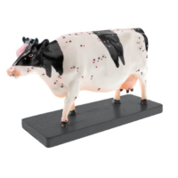 Электрифицированный макет коровы на каркасе - «globural.ru» - Апрелевка