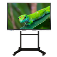Интерактивный комплекс Geckotouch ​​​​​​​75RK - «globural.ru» - Апрелевка