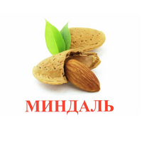 Карточки Домана "Орехи-Ягоды-2" - «globural.ru» - Апрелевка