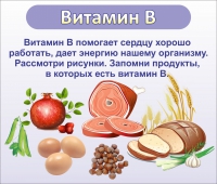 Стенд "Витамин В" - «globural.ru» - Апрелевка