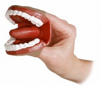 Муляж артикуляционного аппарата - «globural.ru» - Апрелевка