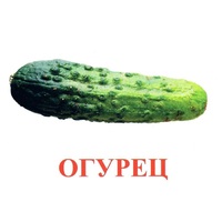 Карточки Домана "Овощи-Зелень-1" - «globural.ru» - Апрелевка