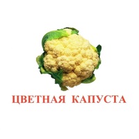 Карточки Домана "Овощи-Зелень-2" - «globural.ru» - Апрелевка