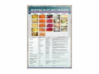 Стенд "Формы нарезки овощей" - «globural.ru» - Апрелевка