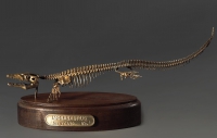 Модель скелета мозазавра Mosasaurus - «globural.ru» - Апрелевка