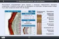Интерактивные курсы. Биология 5 класс. Расширенный - «globural.ru» - Апрелевка