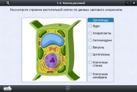 Интерактивные курсы. Биология 9 класс. Расширенный - «globural.ru» - Апрелевка