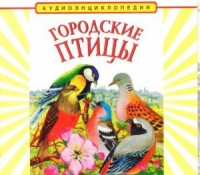 CD "Аудиоэнциклопедия. Городские птицы" - «globural.ru» - Апрелевка