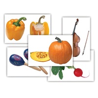 Набор предметных картинок "Овощи. Музыкальные инструменты" - «globural.ru» - Апрелевка