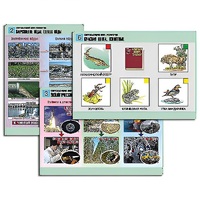 Комплект таблиц для  начальной школы "Окружающий мир. Экология" - «globural.ru» - Апрелевка