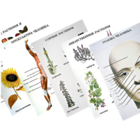 Таблицы по природоведению 1-3 класс - «globural.ru» - Апрелевка