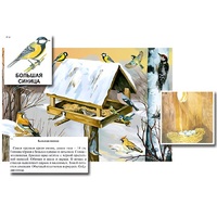 Магнитный плакат-аппликация "Биоразнообразие и экологические группы. Птицы зимой" - «globural.ru» - Апрелевка