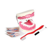 Игровой комплект "Чистим зубы" - «globural.ru» - Апрелевка