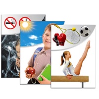 Модель-аппликация "Здоровье человека" - «globural.ru» - Апрелевка