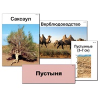 Модель-аппликация "Природные зоны России" - «globural.ru» - Апрелевка