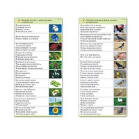 Комплект карточек (10) "Обучающий калейдоскоп. Природа" - «globural.ru» - Апрелевка