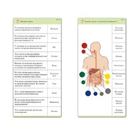 Комплект карточек (10) "Обучающий калейдоскоп. Человек" - «globural.ru» - Апрелевка