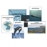 Модель-аппликация "Океаны. Знакомство" (ламинированная) - «globural.ru» - Апрелевка