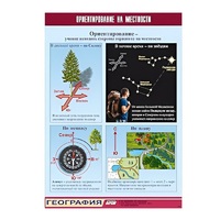 Таблица демонстрационная "Ориентирование на местности" (винил 70х100) - «globural.ru» - Апрелевка