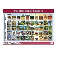 Таблица демонстрационная "Почвы, растения и животные природных зон" (винил 100x140) - «globural.ru» - Апрелевка