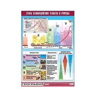 Таблица демонстрационная "Этапы взаимодействия человека и природы" (винил 70x100) - «globural.ru» - Апрелевка