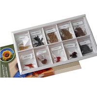 Коллекция "Плоды сельскохозяйственных растений" (вариант 2) - «globural.ru» - Апрелевка