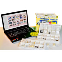 Коллекция натурально-интерактивная "Пластмассы" - «globural.ru» - Апрелевка