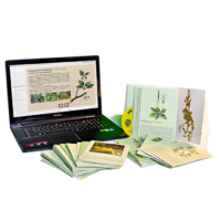 Гербарий натурально-интерактивный "Дикорастущие растения" - «globural.ru» - Апрелевка