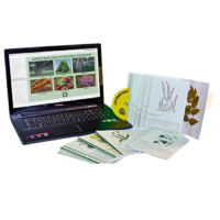 Гербарий натурально-интерактивный "Лекарственные растения" - «globural.ru» - Апрелевка