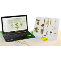 Гербарий натурально-интерактивный "Морфология растений" - «globural.ru» - Апрелевка