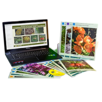 Гербарий натурально-интерактивный "Основные группы растений. Грибы. Лишайники" - «globural.ru» - Апрелевка