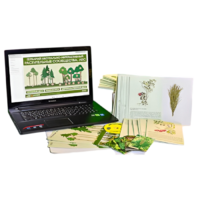 Гербарий натурально-интерактивный "Растительные сообщества. Лес" - «globural.ru» - Апрелевка