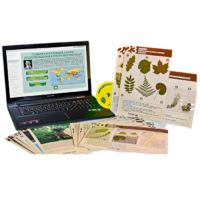Гербарий натурально-интерактивный к курсу основ общей биологии - «globural.ru» - Апрелевка