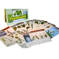 Гербарий к курсу основ общей биологии - «globural.ru» - Апрелевка