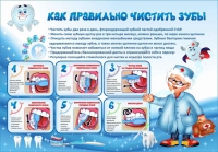 Стенд "Как правильно чистить зубы" - «globural.ru» - Апрелевка