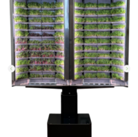 Вертикальная  ферма «Моя микрозелень» комплектация  «Театро настенная» - «globural.ru» - Апрелевка