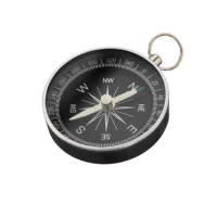 Компас (вариант 1) - «globural.ru» - Апрелевка