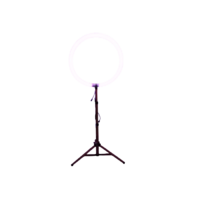 Световое кольцо LS Ring - «globural.ru» - Апрелевка