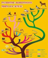 Стенд "Развитие животного мира на земле" - «globural.ru» - Апрелевка