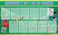 Стенд "Подготовка к ЕГЭ и ОГЭ по биологии" (вариант 2) - «globural.ru» - Апрелевка