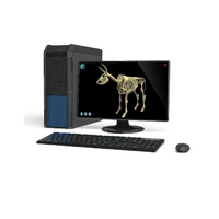 Макет масштабный «Скелет Коровы» Масштаб 1:2 - «globural.ru» - Апрелевка