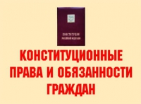 Комплект плакатов "Конституционные права и обязанности граждан" - «globural.ru» - Апрелевка